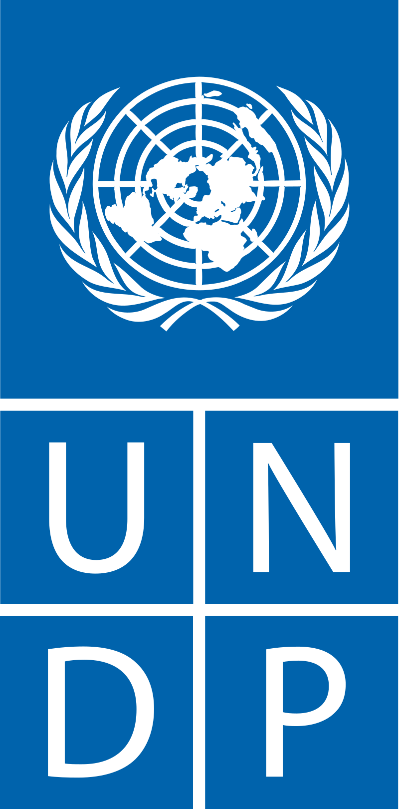 International Partner