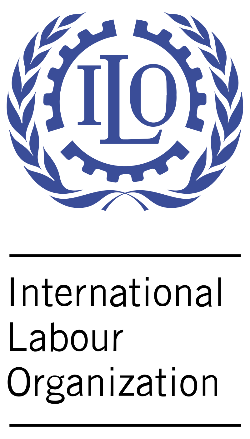 International Partner