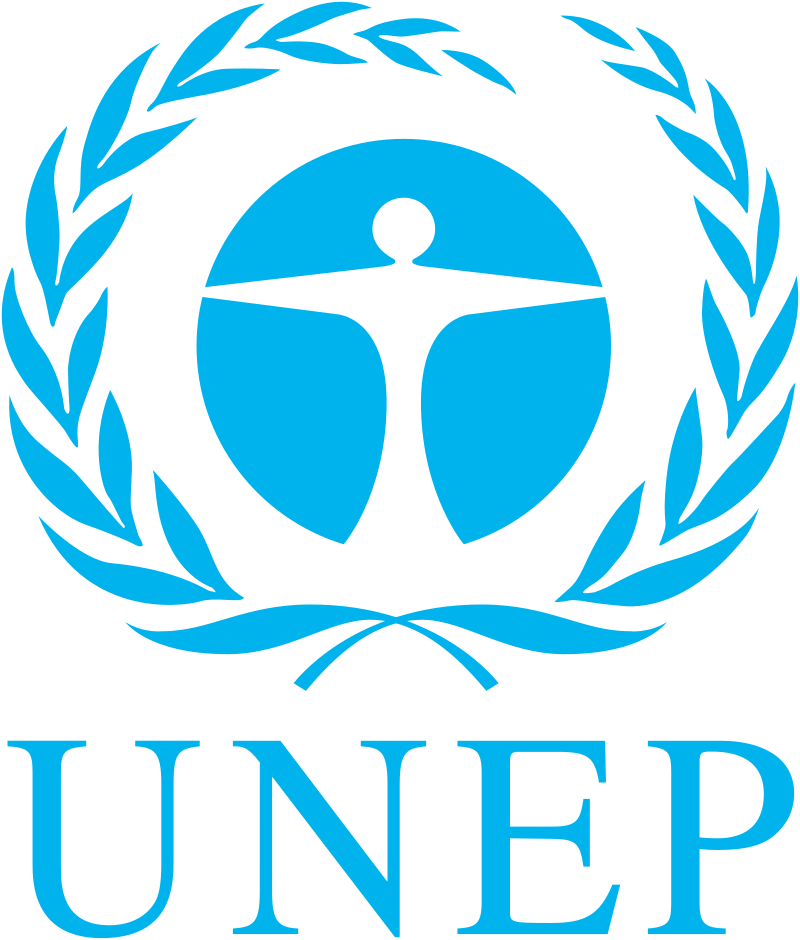 International Partner