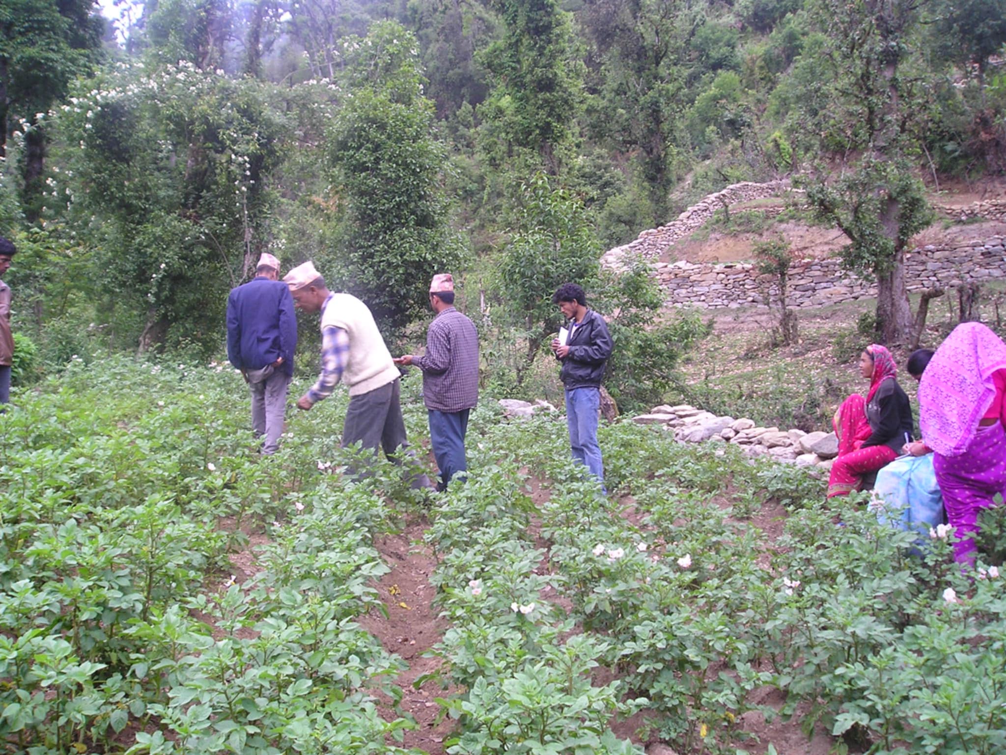 Agriculture and Livelihood Development Projects