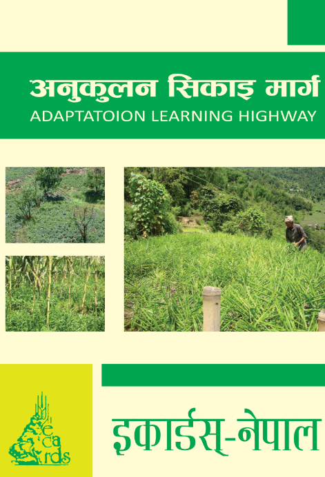 Publication 1
