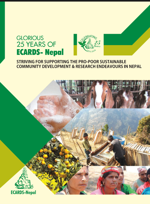 Publication 1